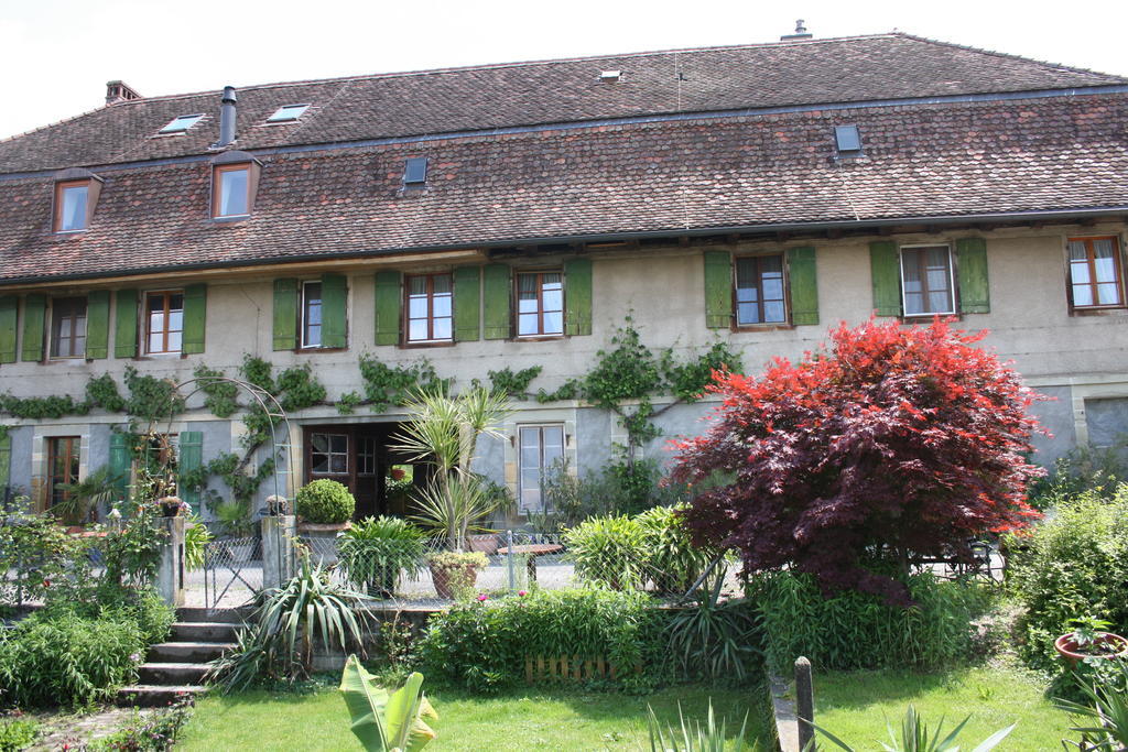 Ofenhaus Villa Murten Phòng bức ảnh