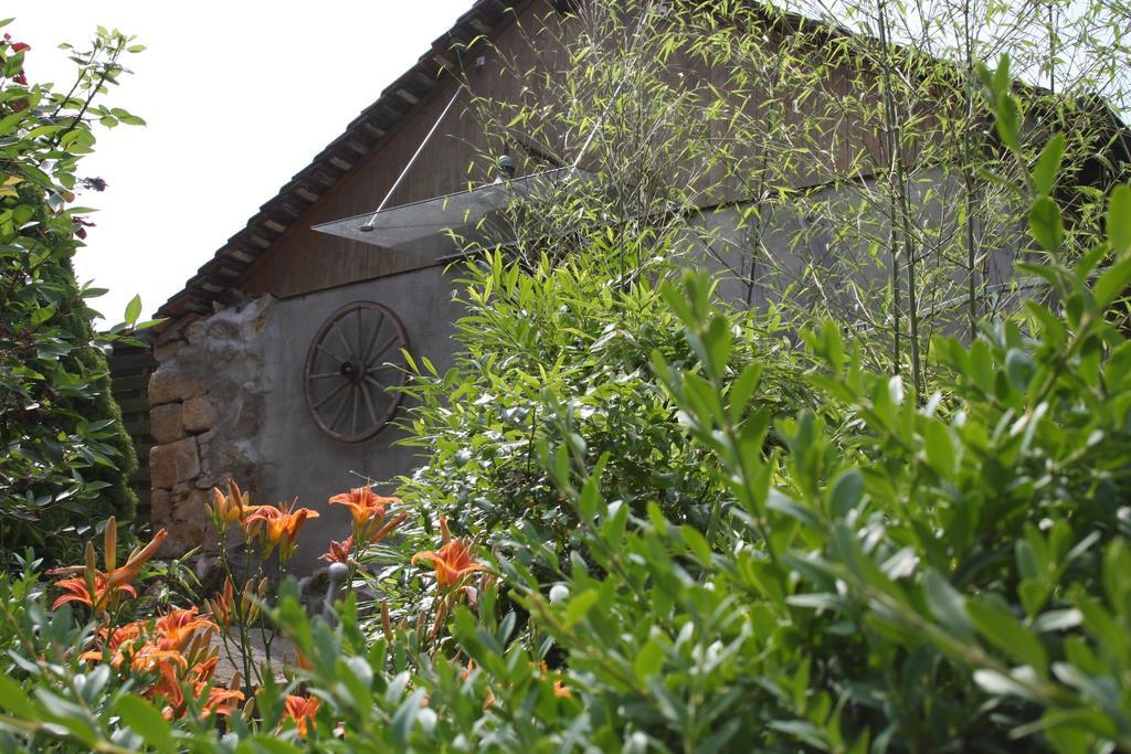 Ofenhaus Villa Murten Phòng bức ảnh