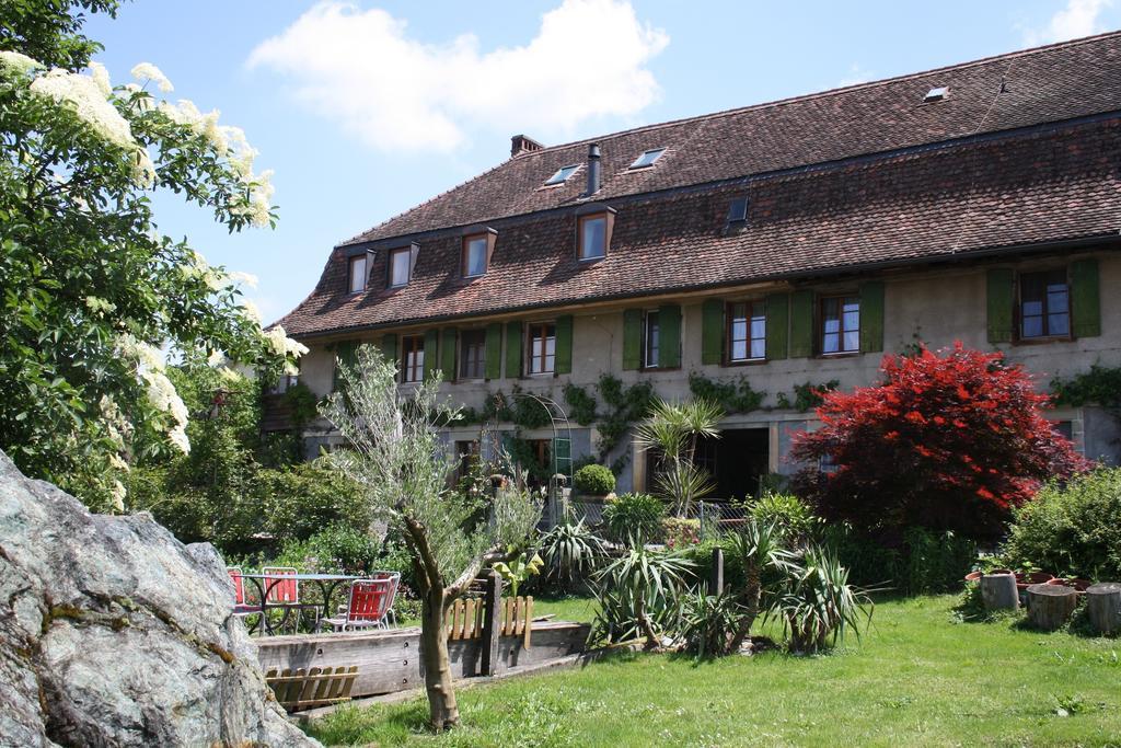 Ofenhaus Villa Murten Ngoại thất bức ảnh