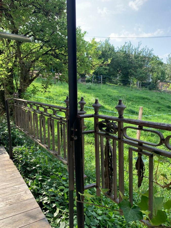 Ofenhaus Villa Murten Ngoại thất bức ảnh